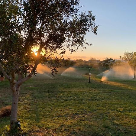 Masseria Capece Bed & Breakfast ウッジャーノ・ラ・キエーザ エクステリア 写真