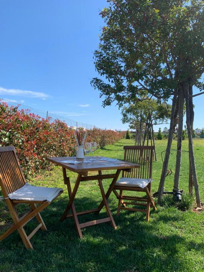 Masseria Capece Bed & Breakfast ウッジャーノ・ラ・キエーザ エクステリア 写真